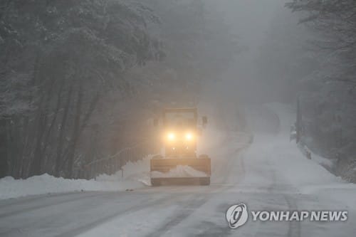 제주 산지 대설주의보 한라산 등반 전면통제… 제주공항 강풍경보