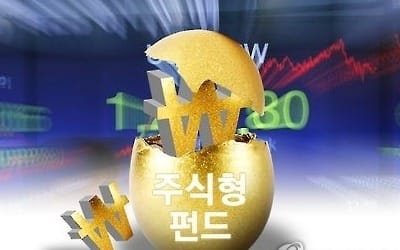 국내주식형펀드 평균수익률 -1.67%… 자금은 오히려 유입