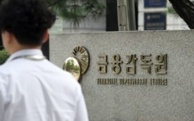 3월부터 자영업 돈줄 조인다… 금감원 "대출 가이드라인 도입"