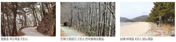 [여행의 향기] 솔향기 가득한 자드락길, 다산이 즐기던 사색의 길… 봄이 오는 길