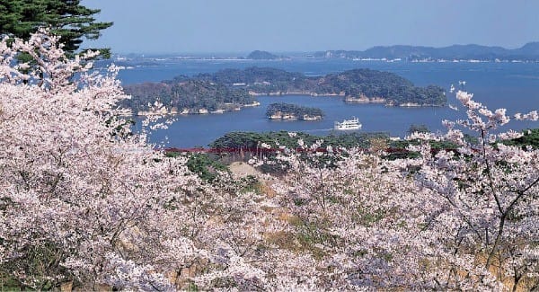 일본 3대 절경 중 하나인 마쓰시마. 