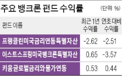 금리 오르는데… 힘 못쓰는 뱅크론펀드