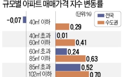 대형 아파트 상승 폭, 소형보다 컸다