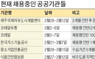  코레일·석유관리원·신용회복委… 올 상반기 공공기관 채용 막 올랐다