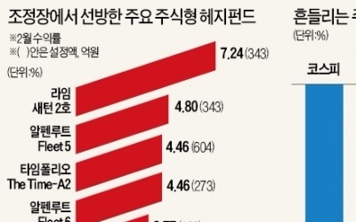 조정장서 '선방'한 한국형 헤지펀드… 비결은