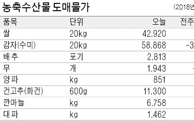  어획량 줄어든 봄 주꾸미, 가격 작년의 2배로 껑충