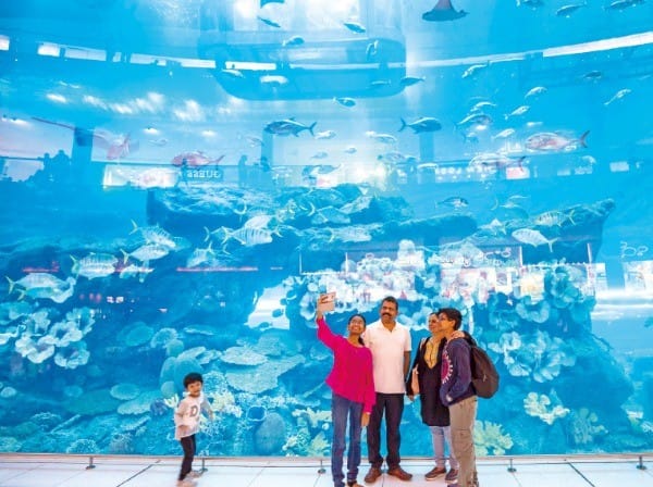 세계에서 두 번째로 큰 두바이 몰의 아쿠아리움. 마치 해저 속에 들어와 있는 착각이 든다.
 