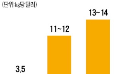 비타민C 원료값 3배 폭등… 제품값도 오르나