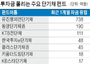 조정장·금리인상 '피난처'로 뜨는 단기채펀드