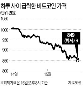 춘래불사춘 가상화폐… 비트코인 800만원대 추락