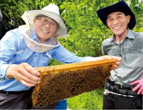 양평 ‘허니비와인’은 천연 꿀을 원료로 한다. 