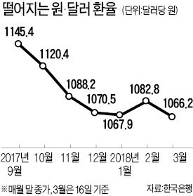 '외환시장 개입내역 공개' 카드 꺼낸 정부, 환율조작국 우려 벗을까