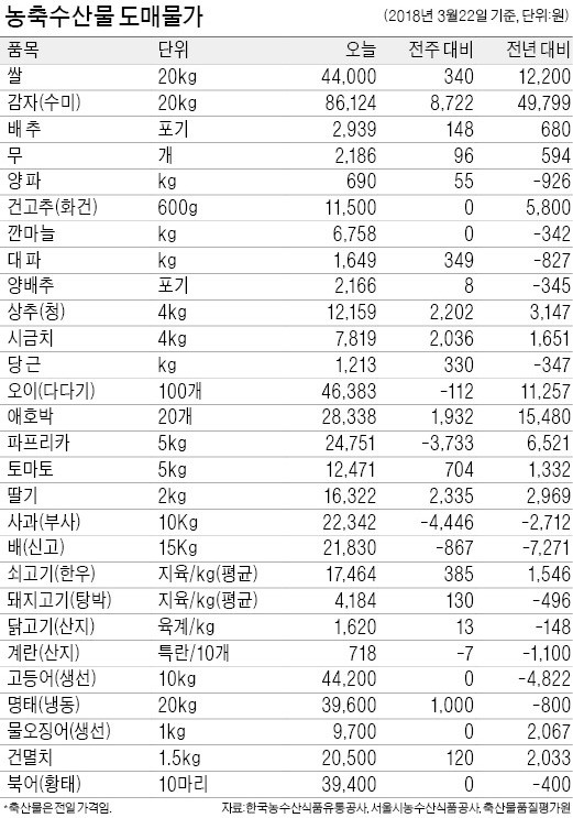 [농수산물 시세] 토마토 값 하락세 평년보다 20% 낮아