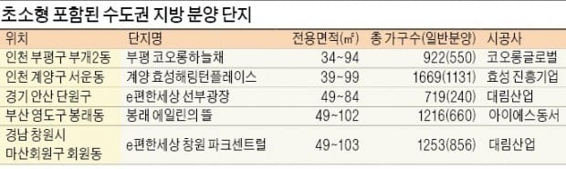 [Real Estate] '소확행' 타고… 지방서도 초소형주택 '붐'