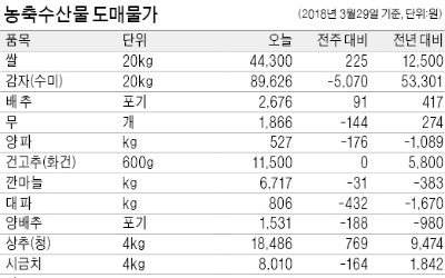 [농수산물 시세] 방울토마토 가격 한 달 새 20% 올라