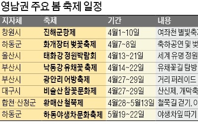 '봄 축제 만개'한 부산·대구·울산