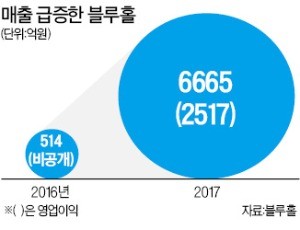 배틀그라운드 글로벌 흥행에… 블루홀, 1년 새 매출 10배 급증