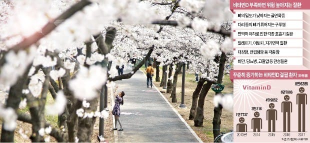 봄볕은 '공짜 영양제'… 하루 20분 산책으로 비타민D 보충하세요