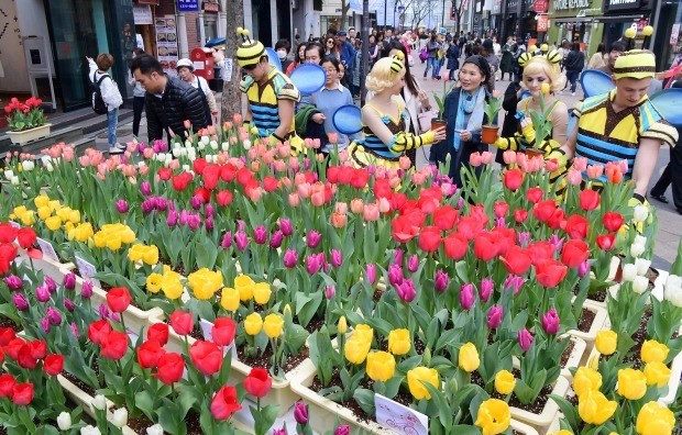 에버랜드 튤립축제 도심 홍보