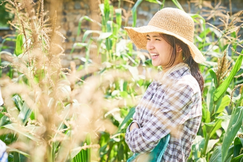 극장가, 리메이크 바람…일본·유럽 등 원작 국적도 다양