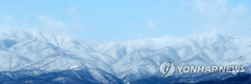 3·1절 휴일…제주도는 봄 정취 만끽, 강원도는 스키장 붐벼