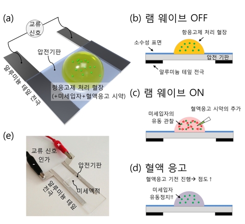 '파동에너지 기반' 간편하게 혈액 응고 진단한다