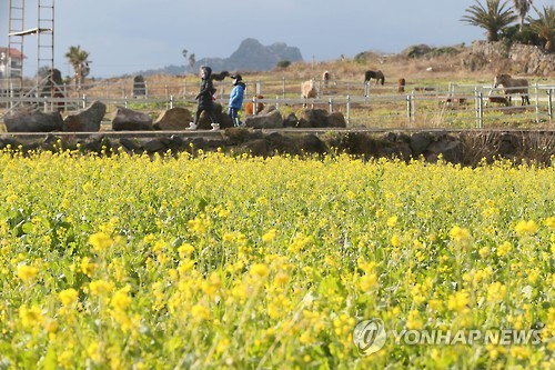 "국내여행객, 1년동안 국내여행 2.9회·해외여행 1.1회"