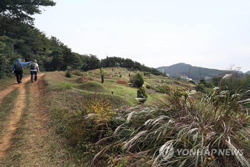 봄기운 흠뻑… 전국 산·관광지 미세먼지에도 상춘객 북적