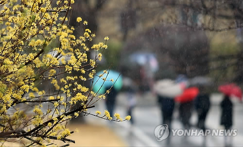 [날씨] 내일 낮부터 차차 맑아져…출근길 '쌀쌀'