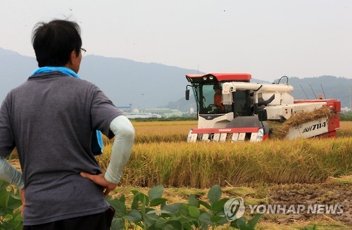 "쌀값 급등하는데 벼농사 포기하라고?"…작물 전환 시큰둥