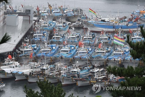 전국에 꽃샘강풍 맹위… 전봇대 쓰러지고 바다·하늘길 막혀