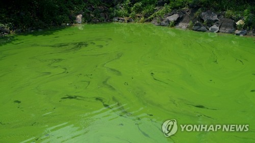 '녹조라떼' 대청호 오염관리 대폭 강화…'퇴비쿠폰제' 시행