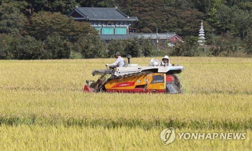 쌀생산비 3년만에 반등… 20㎏당 2만5322원·전년비 5.4％↑