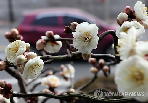 [날씨] 토요일 맑고 낮에 포근…수도권 오전 미세먼지 주의