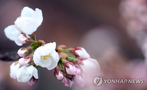 4월 첫날 중부·남부 빗방울…서울 낮 최고 18도