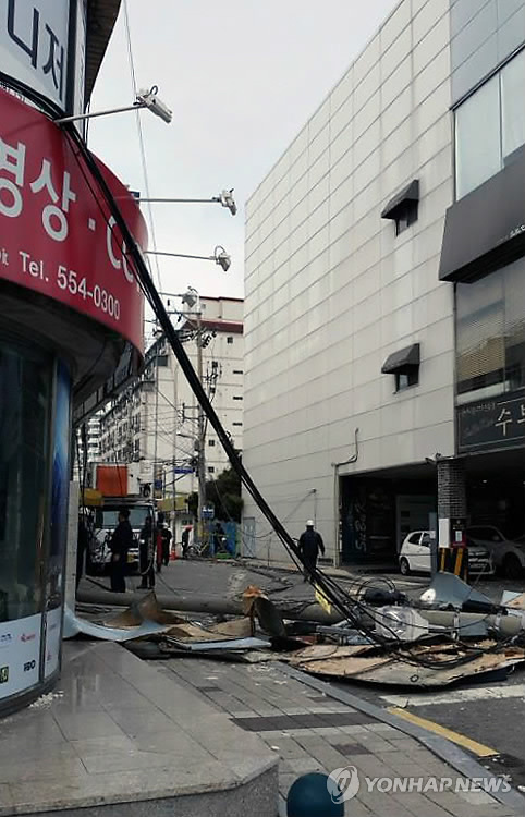 전국 강풍에 '휘청'… 내일 꽃샘추위에 눈·비까지