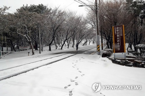 눈 안 오는 부산에 0.7㎝ 봄눈…강풍 피해도 이어져