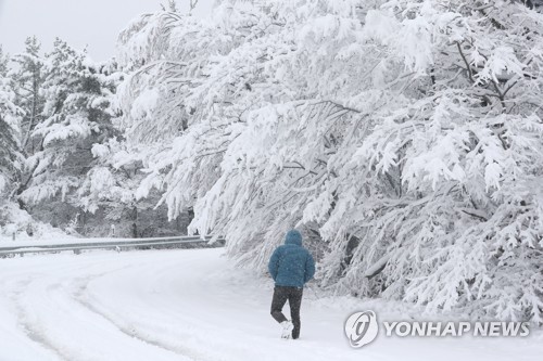 제주도 산지 대설경보…중산간 도로 일부 운행통제