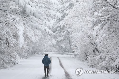 "춘분 맞아?" 꽃샘추위에 대설특보… 낮부터 눈·비 확대