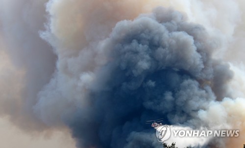 고성 산불 축구장 49배 면적 태워… 건물 9동 소실·軍 물자 이동