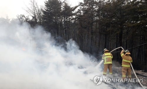 고성 산불 진화율 90％… "재발화 않게 야간 뒷불감시 철저히"