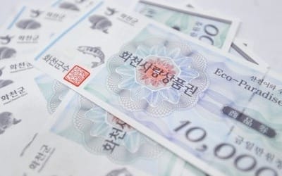 골목상권 지키는데 이만한 효자 없다… 주목받는 지역화폐