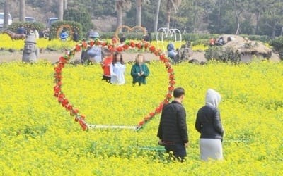 봄기운 흠뻑… 전국 산·관광지 미세먼지에도 상춘객 북적