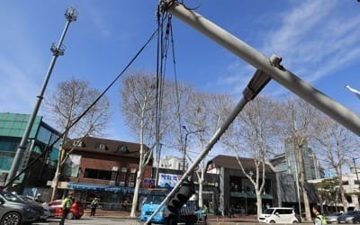 전국 강풍에 '휘청'… 내일 꽃샘추위에 눈·비까지