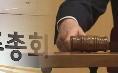 오너 일가 CEO 이사 연임에 의결권자문사 '반대 권고' 잇따라