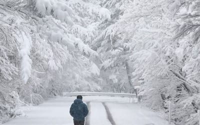 "춘분 맞아?" 꽃샘추위에 대설특보… 낮부터 눈·비 확대