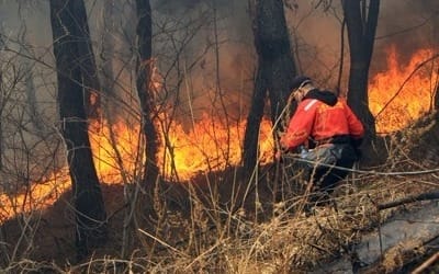 고성 산불방어선 구축… 가스충전소·요양원 확산 막아