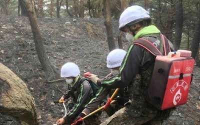 고성 산불 '16시간 사투' 끝에 잔불 진화… 밤샘 뒷불 감시