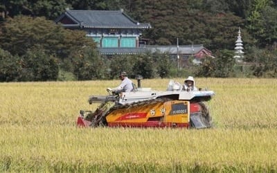 쌀생산비 3년만에 반등… 20㎏당 2만5322원·전년비 5.4%↑