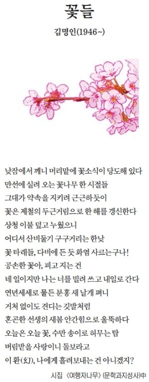 [이 아침의 시] 꽃들 - 김명인(1946~)